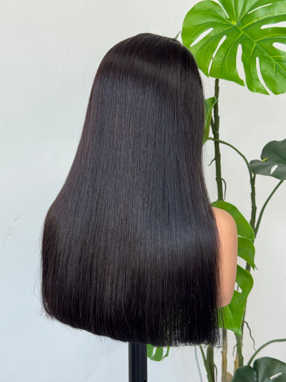 20 Inch Double Drawn 13x4 Vietnamese Straight Wig - Jet Black front view